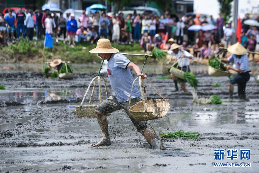 太湖南岸鄉村舉行“農耕趣味運動會”