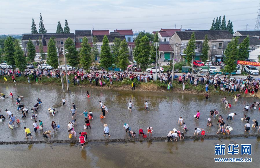 太湖南岸乡村举行“农耕趣味运动会”