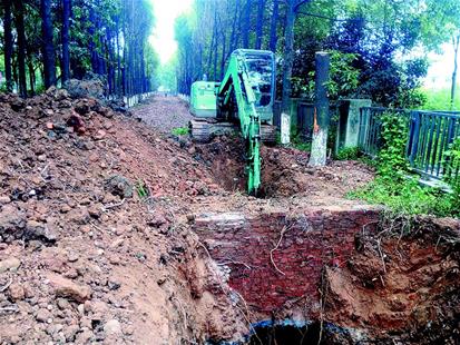 云池河消失20多年的白鹭归来安家——宜昌市猇亭区生态修复的生动实践