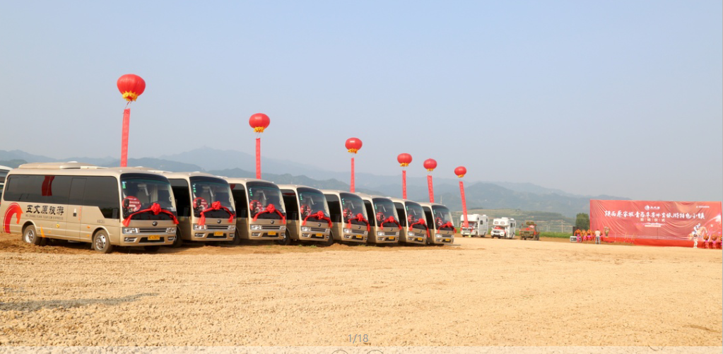 图片默认标题
