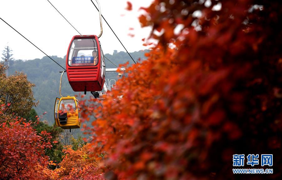 京城西山秋色浓