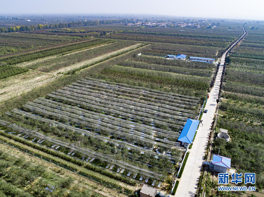 图片默认标题_fororder_1