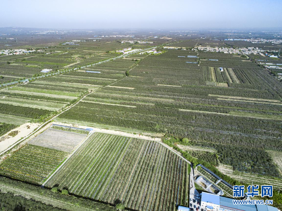 图片默认标题_fororder_3