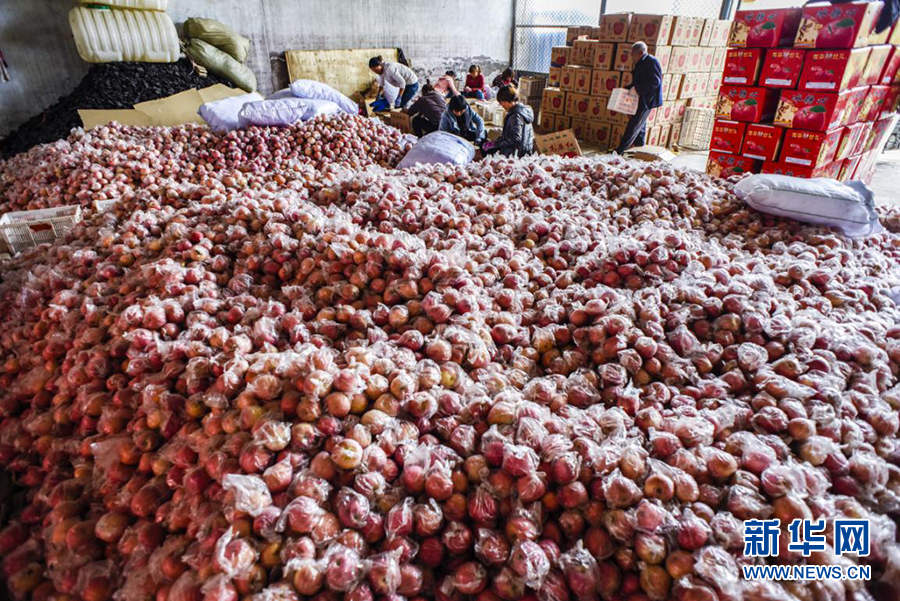 图片默认标题_fororder_5