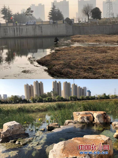 【美丽中国·网络媒体生态行】整治黑臭水 青岛创水环境整治新模式