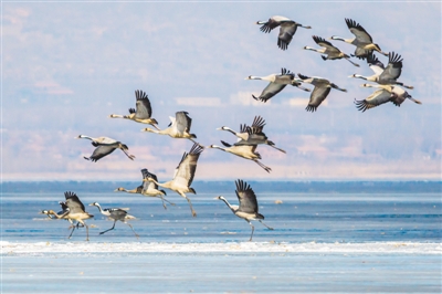 圖片默認標題_fororder_11