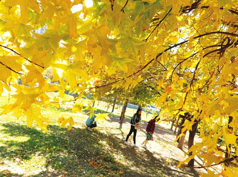 图片默认标题_fororder_fbvsdv_副本900