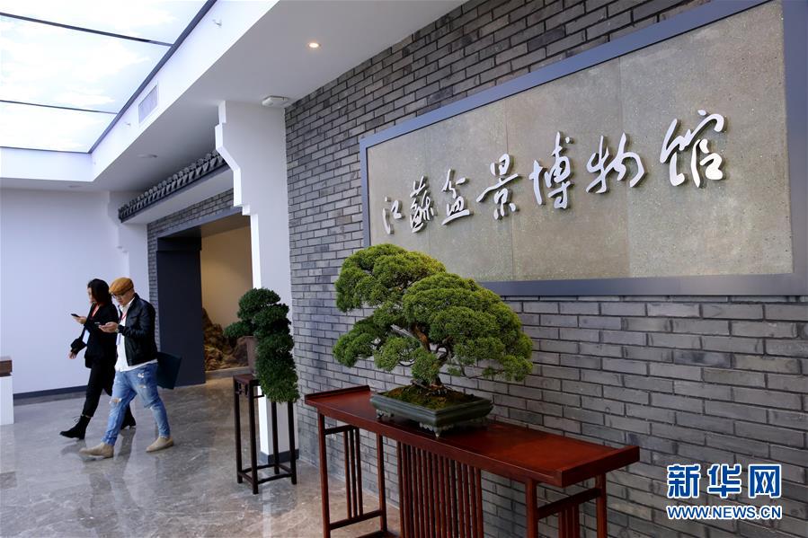 江蘇盆景博物館如皋開館