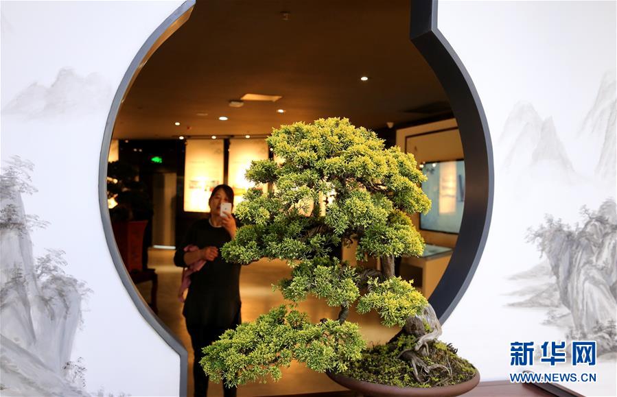 江苏盆景博物馆如皋开馆