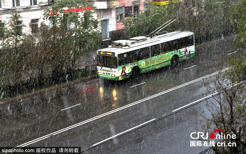 图片默认标题_fororder_ne20170622006