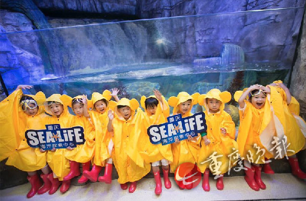 【长嘉汇专题列表】重庆海洋探索中心对外迎客 互动体验获游客青睐