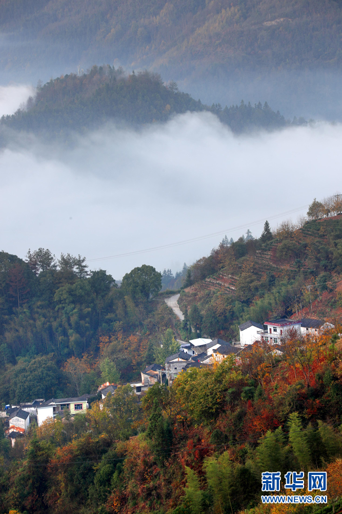 安徽黄山：青山隐隐云迢迢 半坡山居半坡秋