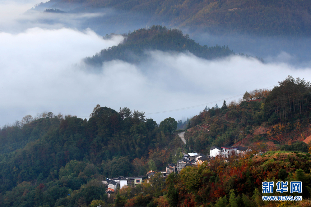 安徽黄山：青山隐隐云迢迢 半坡山居半坡秋