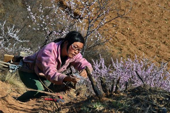 图片默认标题 图片默认标题