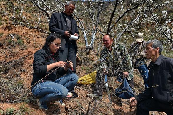 图片默认标题 图片默认标题_fororder_12_1