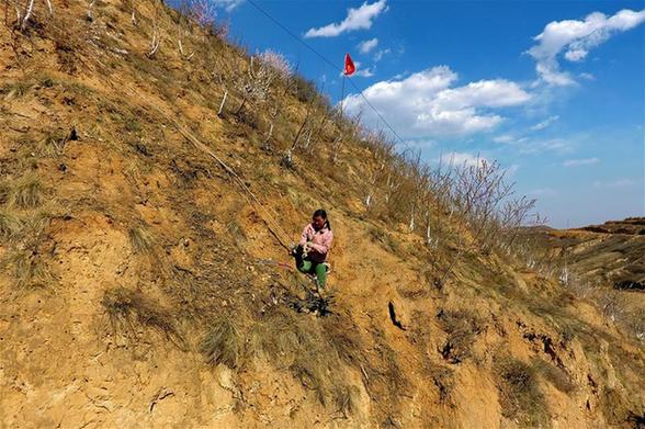 图片默认标题 图片默认标题_fororder_2_1