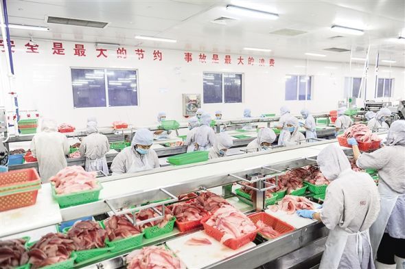 末尾有图【财经】【即时快讯】海南农产品“出海”，谁来护航？