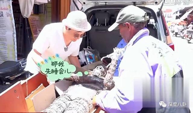 沈腾在非洲千辛万苦买铁猴，结果却是国产！_娱乐_腾讯网