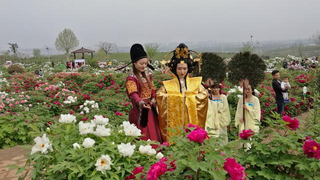女皇“武则天”巡游龙门东山高山牡丹园 女皇“武则天”巡游龙门东山高山牡丹园