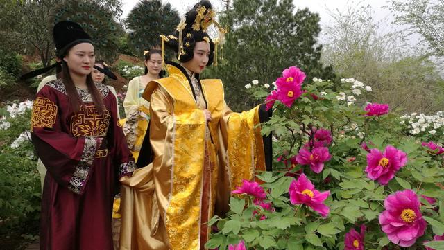 女皇“武则天”巡游龙门东山高山牡丹园 女皇“武则天”巡游龙门东山高山牡丹园
