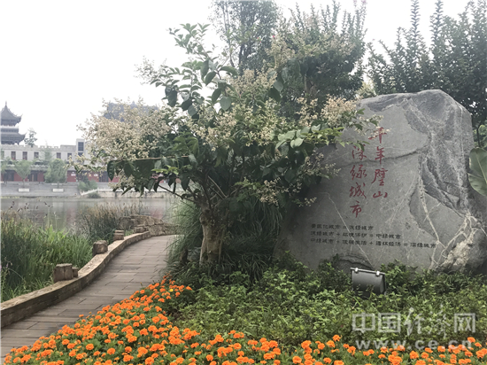 重庆璧山铁腕治污 全力打造“深绿城市”