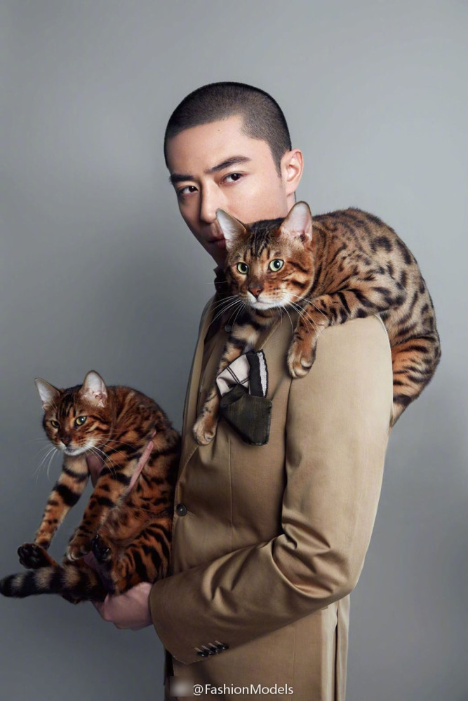 高清：霍建华登杂志封面 画面里有猫有狗超有爱