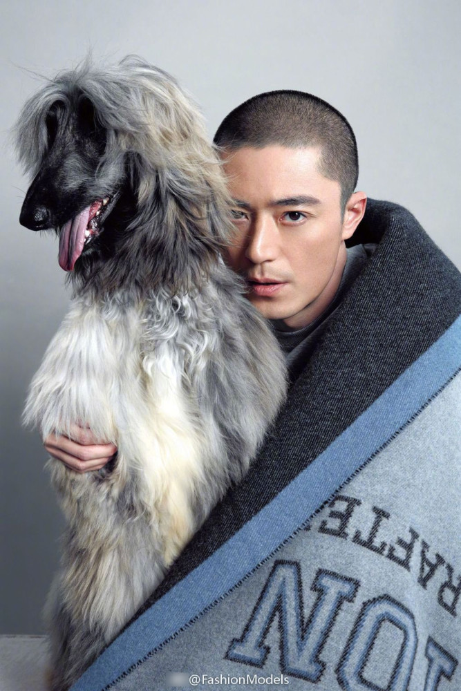 高清：霍建华登杂志封面 画面里有猫有狗超有爱