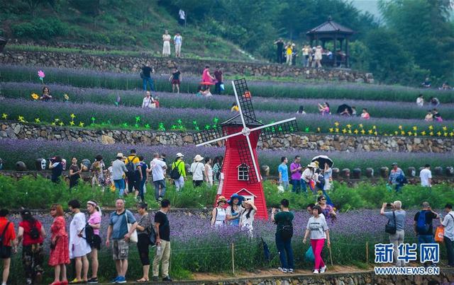 图片默认标题_fororder_樱花4