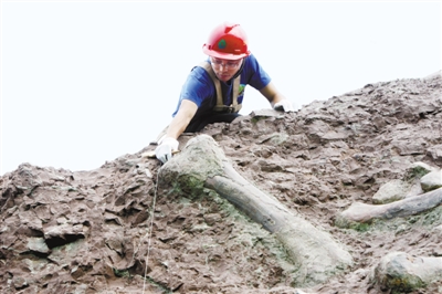 图片默认标题_fororder_化石1