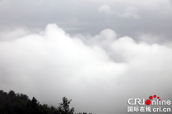 已過審【區縣聯動】【巫山】重慶巫山暴雨後望天坪驚現雲霧奇觀