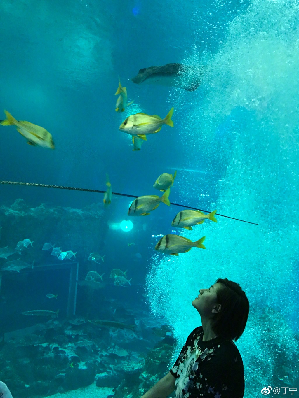 孝顺丁宁陪妈妈游新加坡 穿母女裙温馨有爱