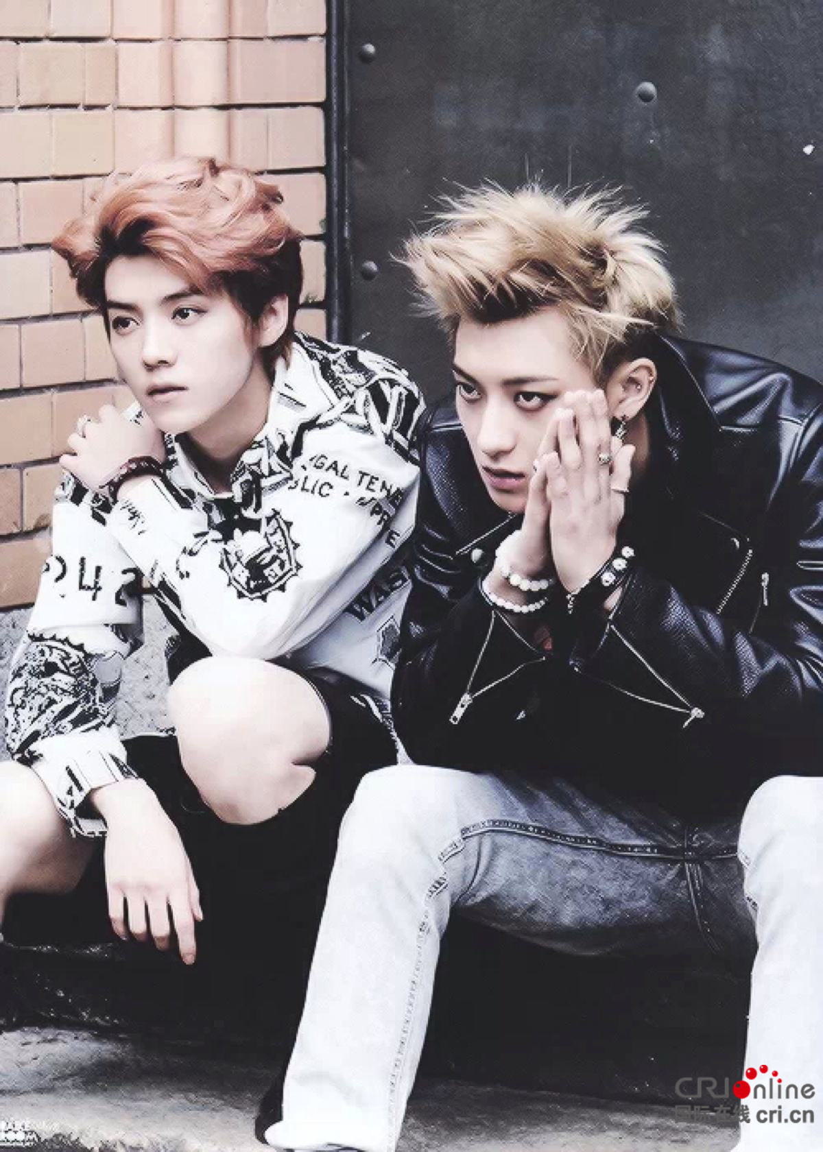 林更新赵又廷鹿晗黄子韬 他们才是真正的"cp"