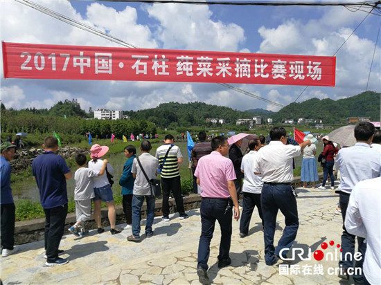 已过审【区县联动】【石柱】重庆市石柱第五届莼菜文化节启幕