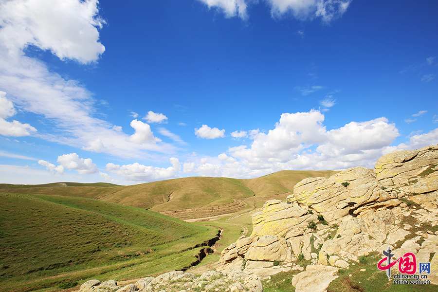 这个夏天自驾旅游休闲避暑就去商都 感受风吹草低现牛羊