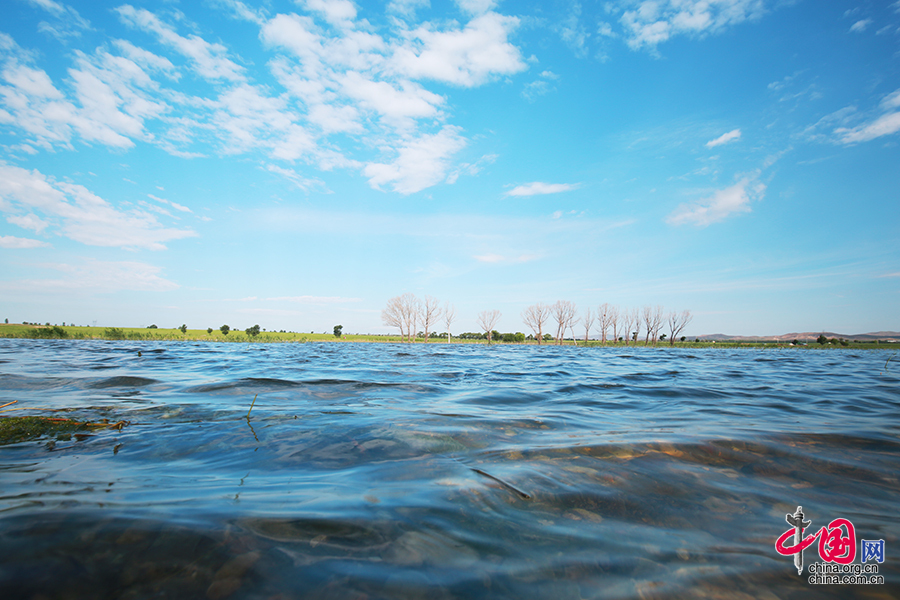 这个夏天自驾旅游休闲避暑就去商都 感受风吹草低现牛羊