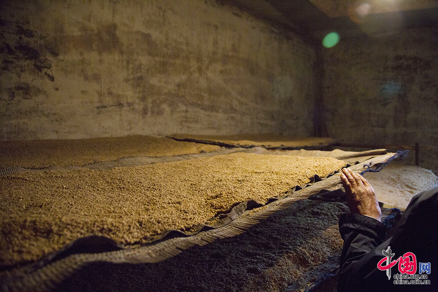 这个夏天自驾旅游休闲避暑就去商都 感受风吹草低现牛羊