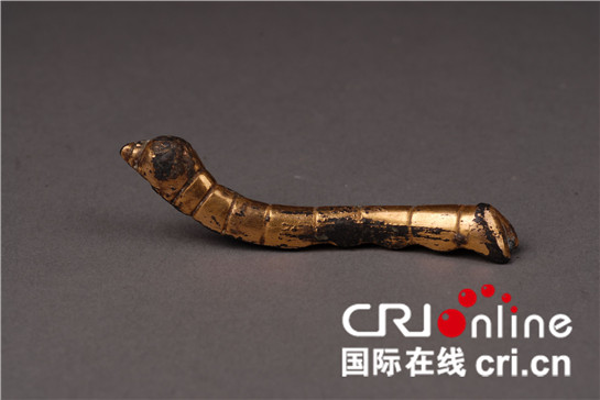 陕西安康：养蚕实现产业扶贫 “金蚕”擦亮“丝源”名片