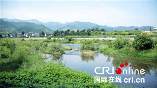 陕西安康：养蚕实现产业扶贫 “金蚕”擦亮“丝源”名片