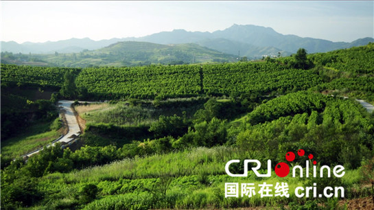 陕西安康：养蚕实现产业扶贫 “金蚕”擦亮“丝源”名片