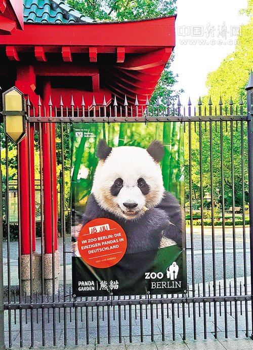 駐德大使:中德關係在巨大潛力與機遇中不斷提升