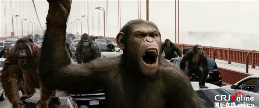 猩球崛起3_fororder_《猩球崛起3》劇照2