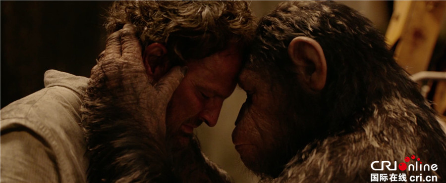 猩球崛起3_fororder_《猩球崛起3》劇照3