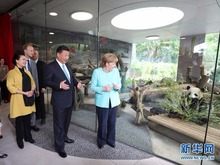 习近平同德国总理默克尔共同出席柏林动物园大熊猫馆开馆仪式