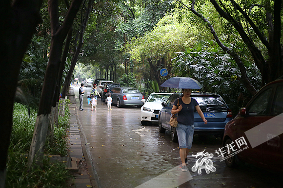 【聚焦重庆】7月中旬山城呈阶段性高温 局地将破40℃