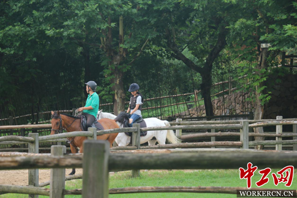 莫干山“洋家乐”民宿:农民致富增收的法宝