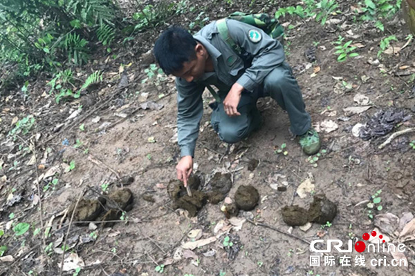 图片默认标题_fororder_444