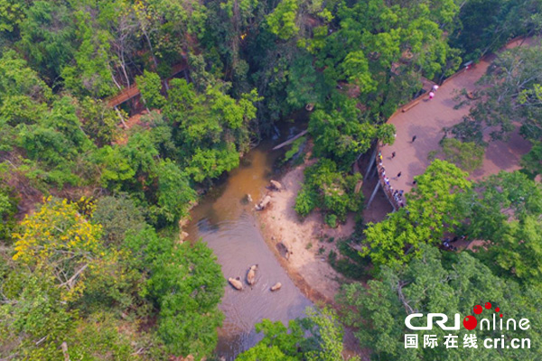 图片默认标题_fororder_555