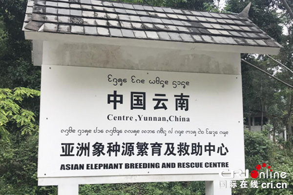 图片默认标题_fororder_666