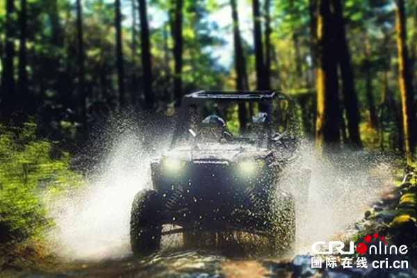 图片默认标题_fororder_22222