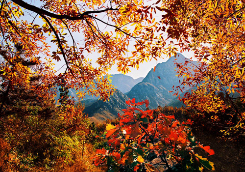 沂蒙福地 颐养蒙山——蒙山风景区
